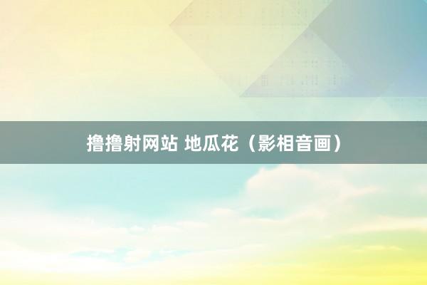 撸撸射网站 地瓜花（影相音画）