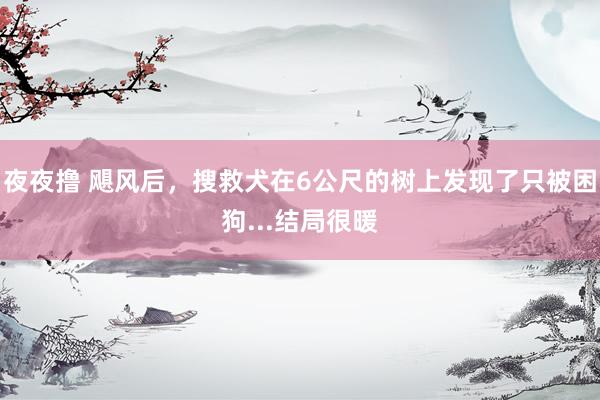 夜夜撸 飓风后，搜救犬在6公尺的树上发现了只被困狗...结局很暖