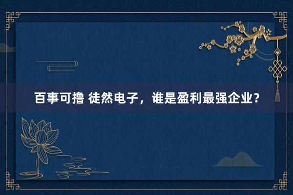 百事可撸 徒然电子，谁是盈利最强企业？