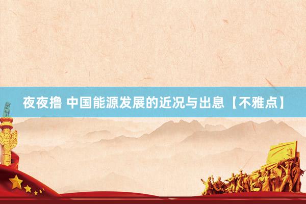 夜夜撸 中国能源发展的近况与出息【不雅点】
