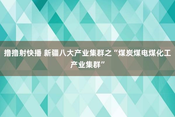 撸撸射快播 新疆八大产业集群之“煤炭煤电煤化工产业集群”