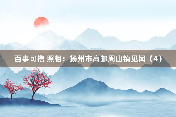 百事可撸 照相：扬州市高邮周山镇见闻（4）