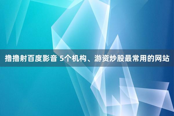 撸撸射百度影音 5个机构、游资炒股最常用的网站