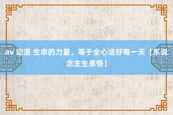 av 动漫 生命的力量，等于全心活好每一天【东说念主生感悟】