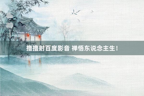 撸撸射百度影音 禅悟东说念主生！