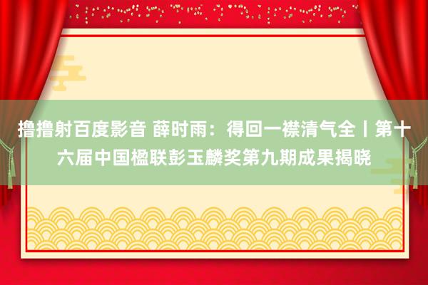 撸撸射百度影音 薛时雨：得回一襟清气全丨第十六届中国楹联彭玉麟奖第九期成果揭晓