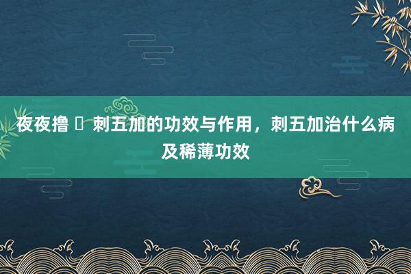 夜夜撸 ​刺五加的功效与作用，刺五加治什么病及稀薄功效