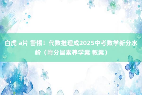 白虎 a片 警惕！代数推理成2025中考数学新分水岭（附分层素养学案 教案）