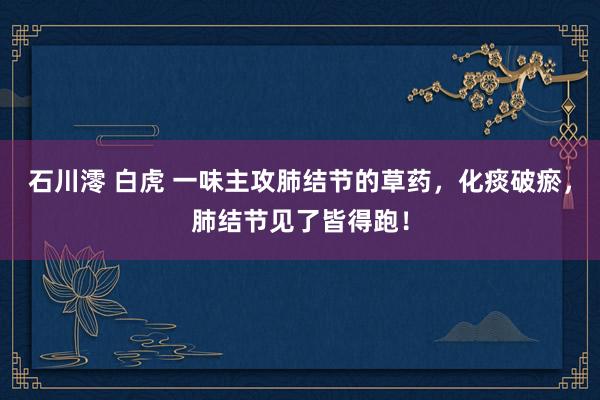 石川澪 白虎 一味主攻肺结节的草药，化痰破瘀，肺结节见了皆得跑！