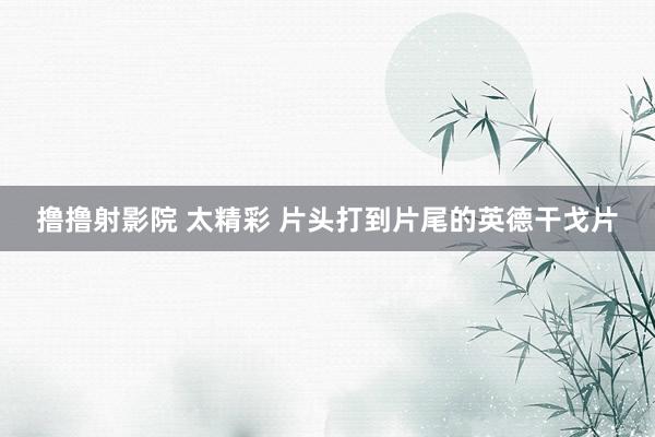 撸撸射影院 太精彩 片头打到片尾的英德干戈片